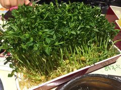 汤岛涮(余姚五彩城店)-湯島涮小火锅(余姚五彩城店)