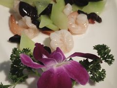 -云中小雅