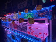 -中环花鸟鱼虫市场