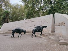 -海德公园