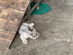 -秦皇岛野生动物园