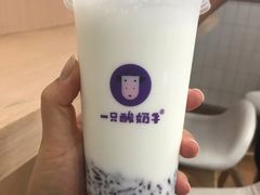 -一只酸奶牛(八一路店)