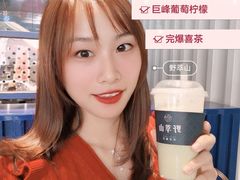 -野萃山·潮汕厚果汁(十亩地店)