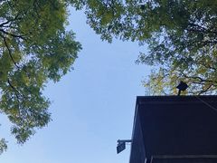 -天泽祥·鼓楼馒头(鼓楼店)
