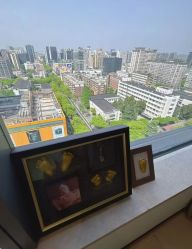 -杭州贝瑞斯美华妇儿医院·早孕·产检·儿科