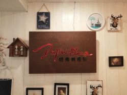 -纸飞机儿童摄影(远洋店)