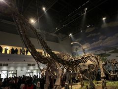 -自贡恐龙博物馆