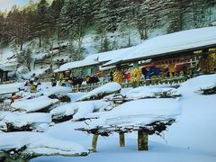 -山河屯铁锅炖(哈西站店)