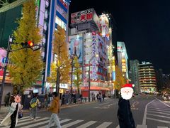 -秋叶原电器街