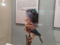 -辽宁古生物博物馆