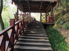 -杭州半山国家森林公园