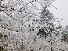 -井冈山风景名胜区