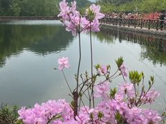 -西泰山风景区