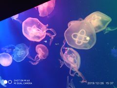 -成都浩海立方海洋公园