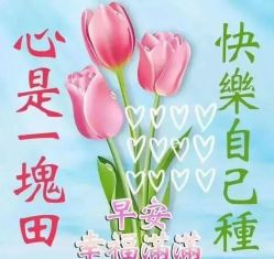 -首都医科大学附属北京儿童医院