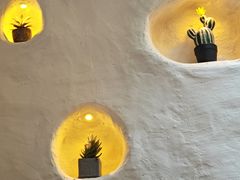 -Sirena海妖日咖夜酒