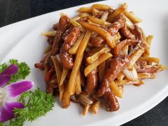 -云中小雅