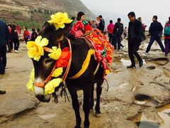 -陕西黄河壶口瀑布旅游区