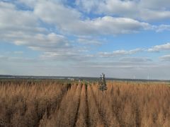 -黄海国家森林公园