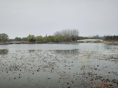 -大兴滨河森林公园