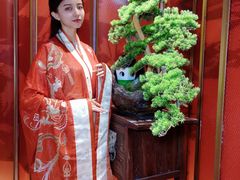-大秦小宴•新派西北(万象前海店)