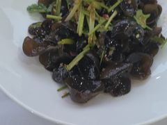 -九头鸟酒家(东高地店)