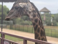 -鄂尔多斯野生动物园