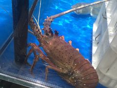 -长申超市(美食城店)