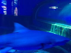 -皇家极地海洋世界-售票处