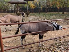 -大连森林动物园