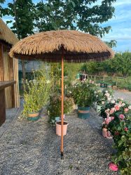 -DORA kids 朵拉儿童摄影花园店