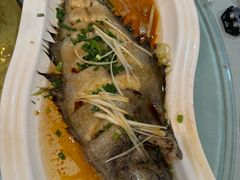 -威海渔村(黄兴路店)