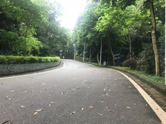 -火炉山森林公园