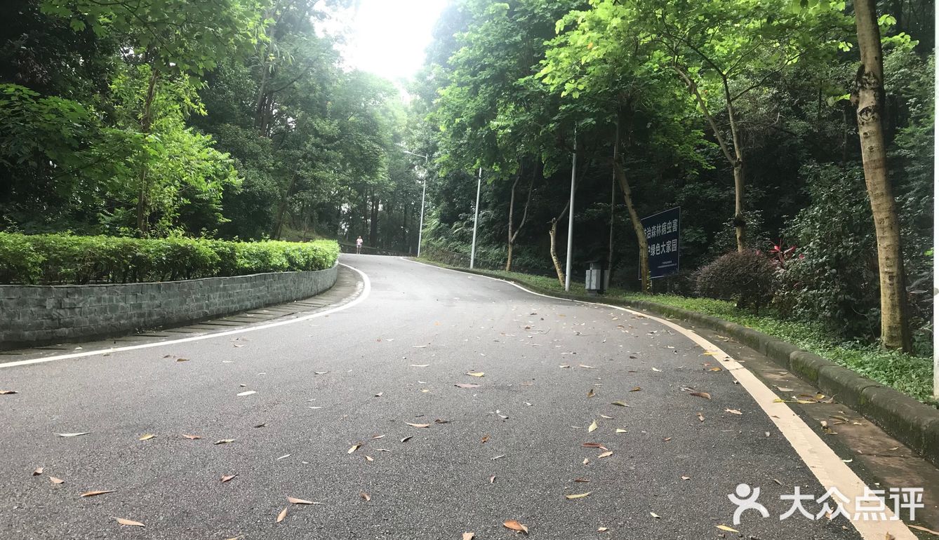 周边游|火炉山·一起去爬山吗？