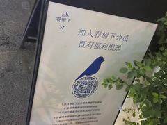 -春树下·树屋花房西餐厅(罍街AS1980店)