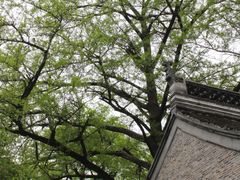 -南山风景名胜区