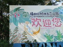 -福田红树林生态公园