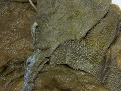 -正宗钢管厂五区·小郡肝火锅·串串香(商品街总店)