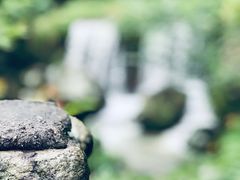 -藏龙百瀑风景区