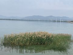 -观澜小洱海