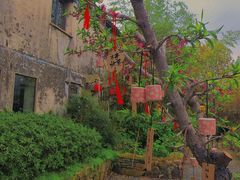 -田园东方蜜桃村的田野营地