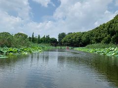 -同里国家湿地公园
