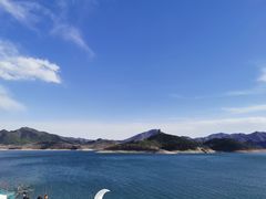 -望湖烤鱼