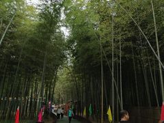 -陶祖圣境风景区