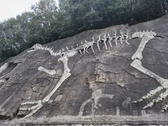 -哈尔滨北方森林动物园