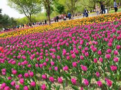 -长春公园(普阳街道)