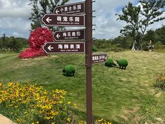 -日照海滨国家森林公园