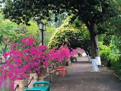 -广东外语外贸大学(白云山校区)