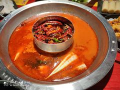 -谭鸭血老火锅(万象九宜城店)