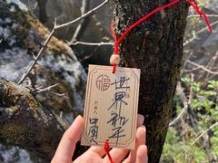 -秦岭终南山世界地质公园翠华山景区
